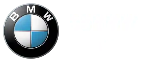 55bmw logo