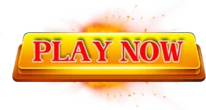 PLAY NOW