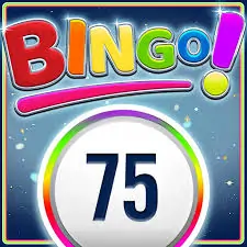 bingo75